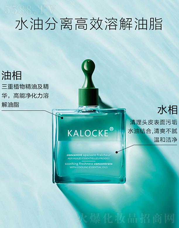 KALOCKE^Ƥ坍Һoem