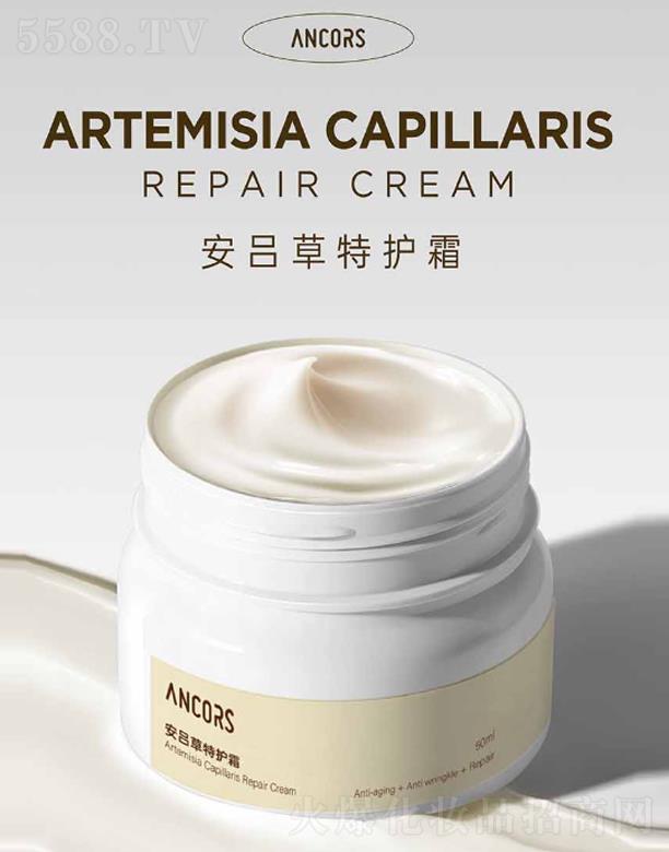 ANCORS���β����o(h��)˪