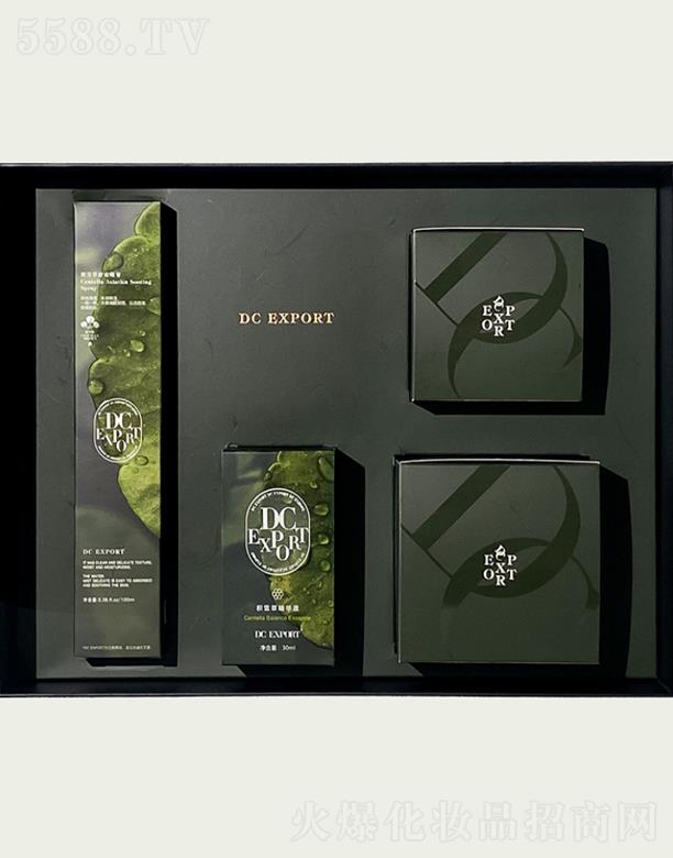 DC EXPORT�eѩ��ϵ���׺�