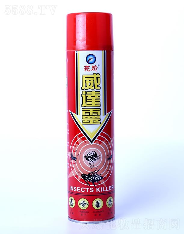 ������600ML���_�`���F��