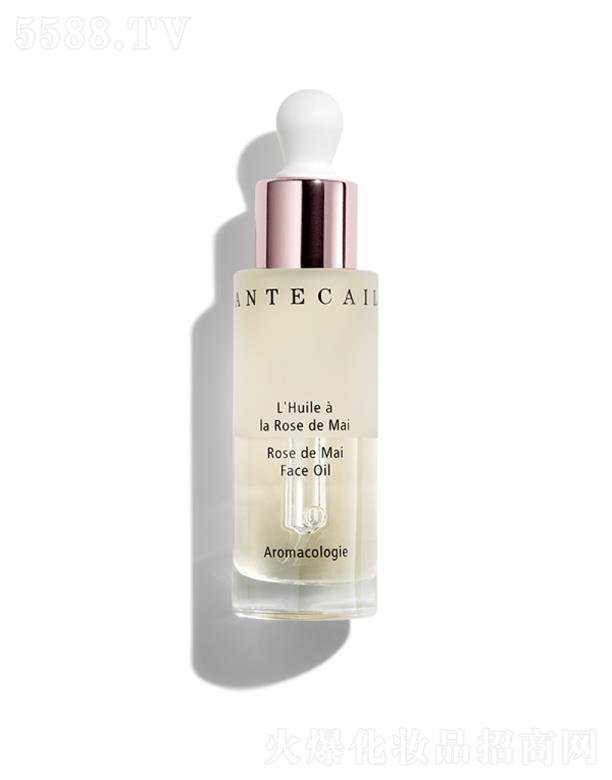 ����õ�廨���O�;��A��